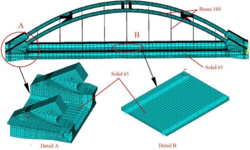 الصورة المصغرة للدورة