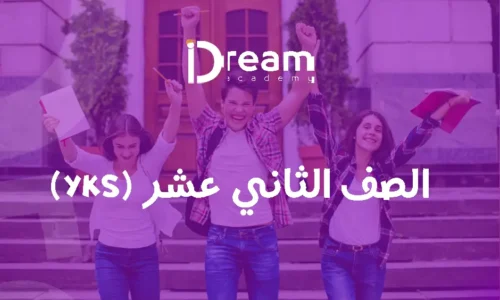 الصف الثاني عشر (YKS)